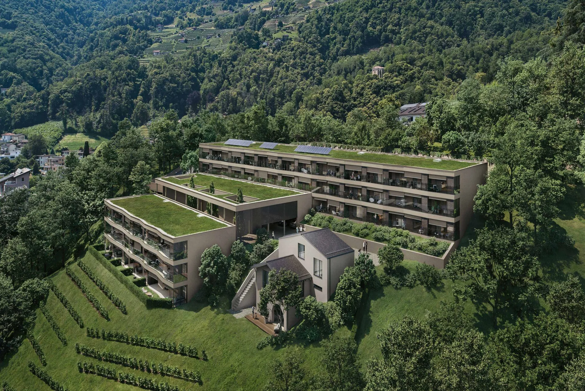 Querciabella Lugano